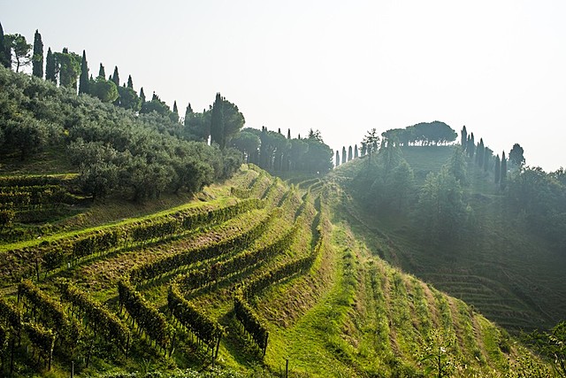 ПОКУПКА ФЕРМЫ