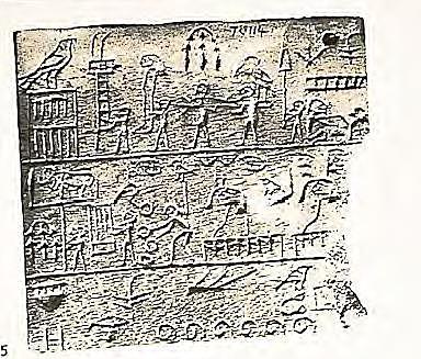 Se usaron simbolos graficos minoicos con mas de 135 pictogramas que incluyen figuras, brazos, animales, plantas y simbolos geométricos.