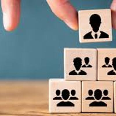 Timeline: organizacion social