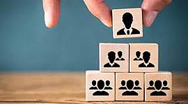 Timeline: organizacion social