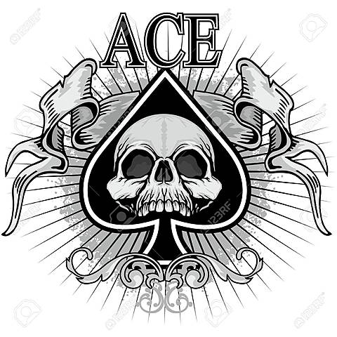 ace charter high school