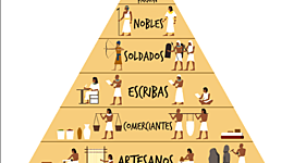 Timeline: Organización social