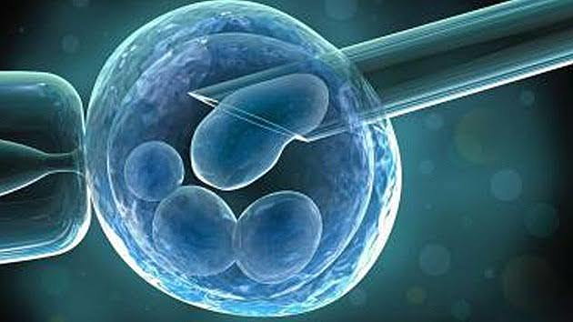 Células madres a partir de las células de la piel