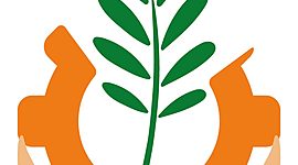 Timeline: Historia del Trabajo Social.