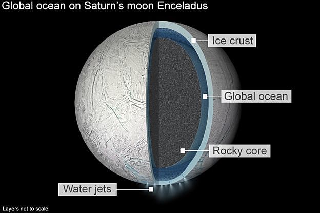 Potential Life on Enceladus