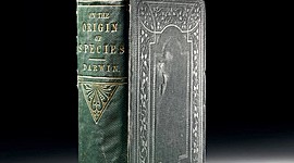 Timeline: Charles Darwin