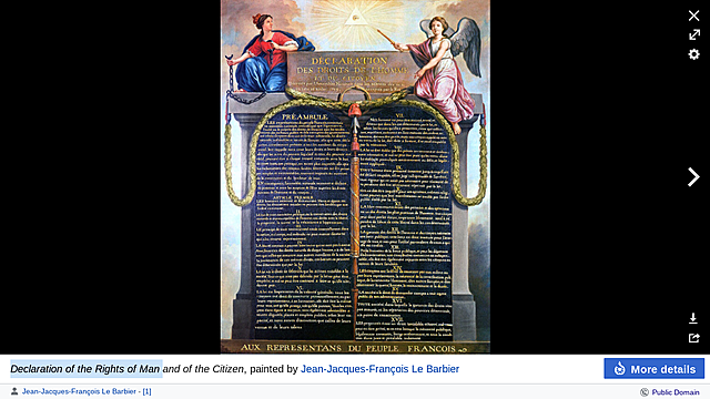 Declaration of the rights of man and of the citizen