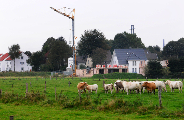 Pläne werden veröffentlicht