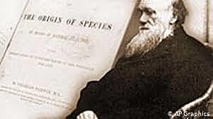 Escribe su ensayo y observaciones de las islas volcánicas.