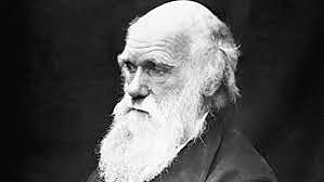Darwin muere