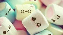 Timeline: Helma, Irene 6èC