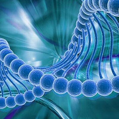 Timeline: Эра классической генетики