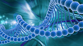 Timeline: Эра классической генетики