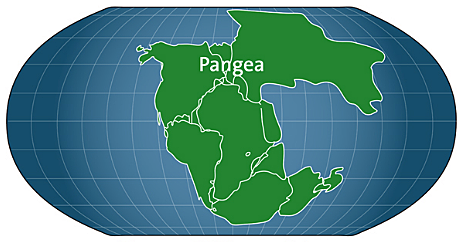 PANGEA