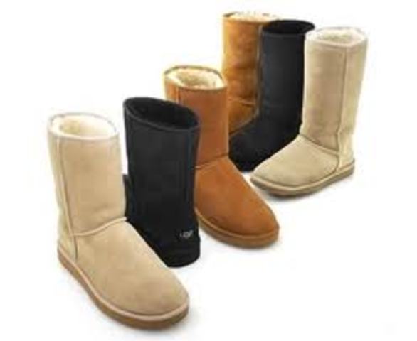 Web Site Evaluation of Ugg Site