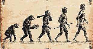 Darwin released the theory of evolution