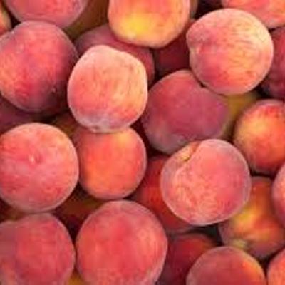 Timeline: WWI Timeline Semester Project