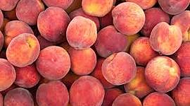 Timeline: WWI Timeline Semester Project