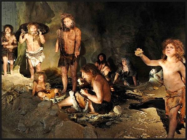 Neandertales y Hierbas Medicinales