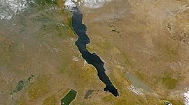 Timeline: Tectónica Global