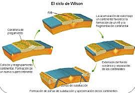 Ciclo de Wilson