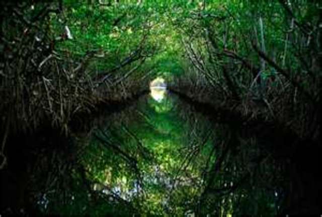 Photoshoot in the Everglades