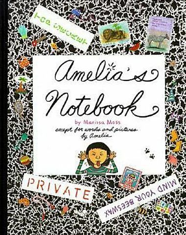 Amelia's Notebook