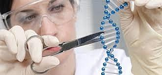 Era de la Ingeniería Genética