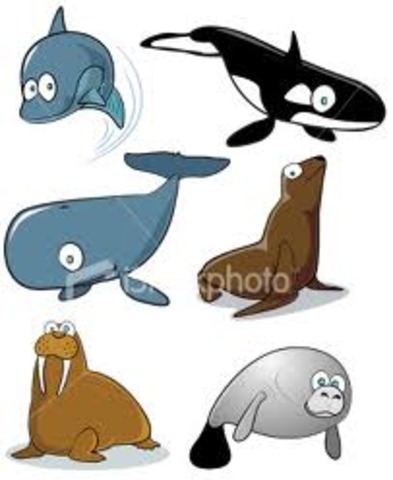 220 years ago . Mammals