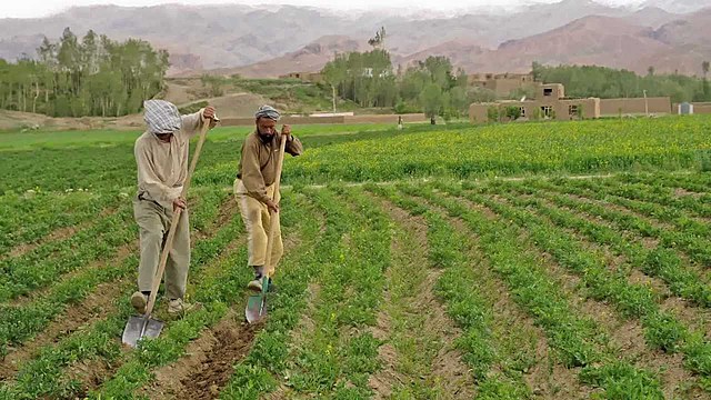 Rahim Khan Sets out to Find Hassan