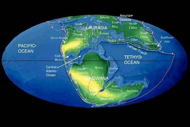 4.6 BYA Earth began to form.