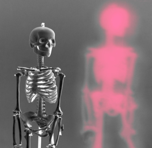 2.2 BYA Oxygen appears in the enviroment, causing damage to living tissues.