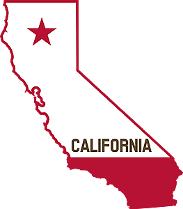 Baba and Amir Live in California