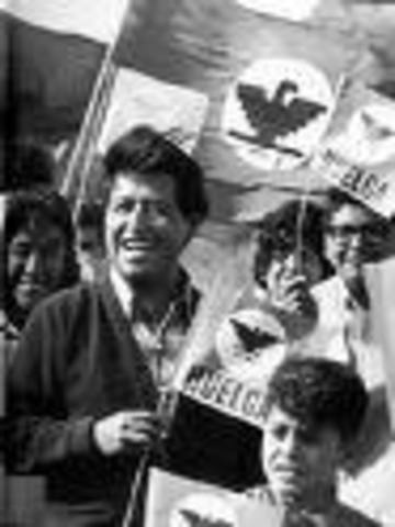 UFW’s Nationwide Boycott of grapes picked on nonunion farms