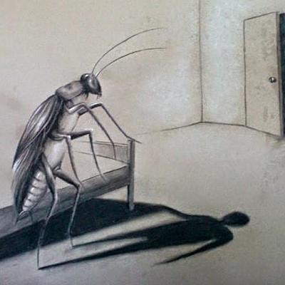 Timeline: Metamorphosis