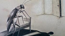 Timeline: Metamorphosis