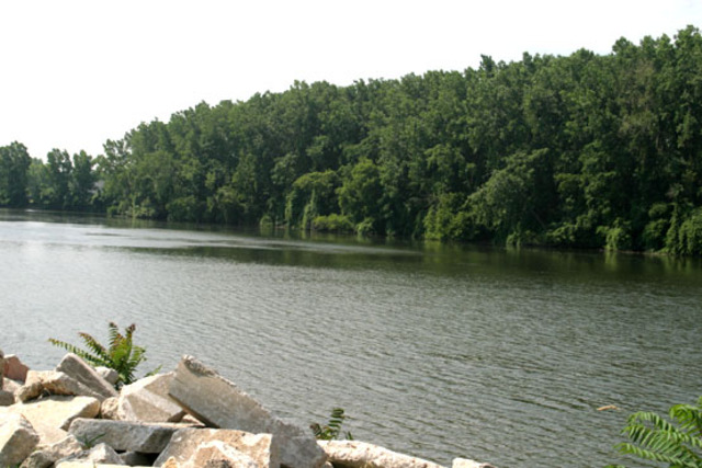 January 19: Skirmish at the River Raisin