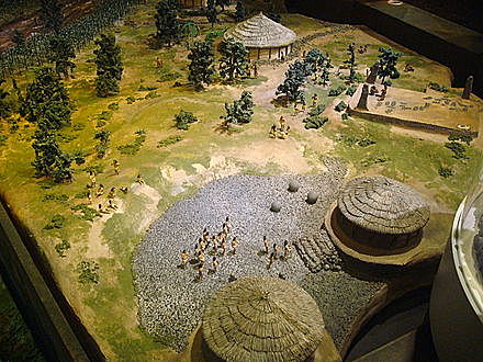 De la sociedad tribal a la sociedad cacical 300 a.C.- 300 d.C.