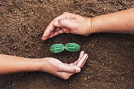 Tenencia de la tierra