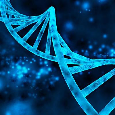 Timeline: Personajes sobresalientes en la historia de la genética