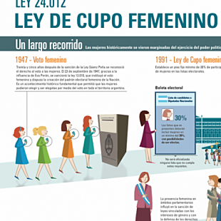 La Ley de Cupos - 1991