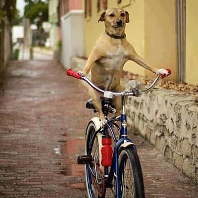 Timeline: Manuel Márquez