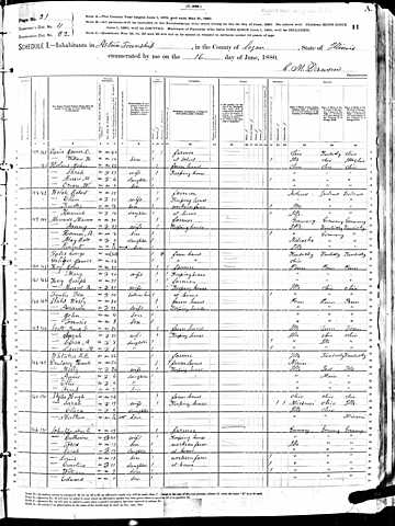 1880 U.S. census: Styles