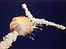 Space Shuttle Challenger Incident