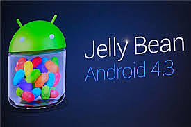 Android 4.1 Jelly Bean.