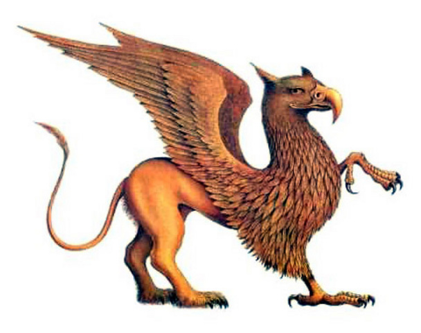 Mascot Officially Chosen