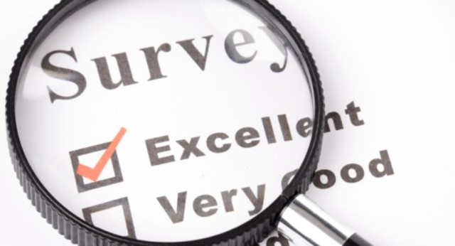 Evaluating Websites Pre-survey and Domain Name Review