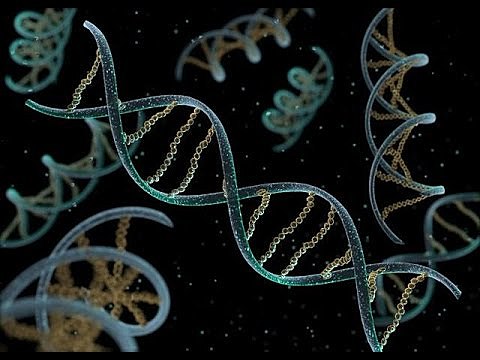 El origen de la vida en la tierra según la abiogenesis