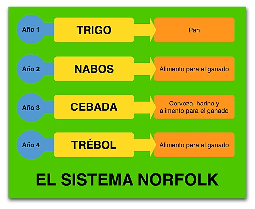 Sistema Norfolk