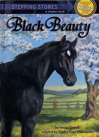 Black Beauty by Anna Sewell
